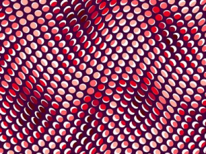 Quilters Coordinates