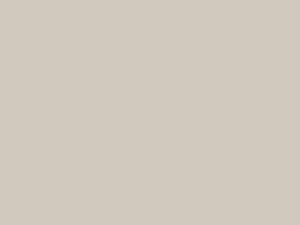 Premium Solids - Dove