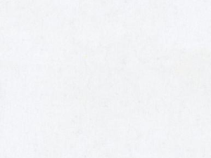 Plain white background with a subtle texture across the surface