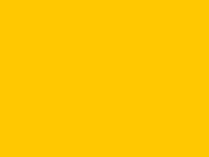 Premium Solids - Sunflower