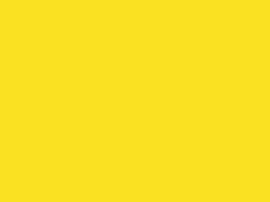 Premium Solids-Rubber Ducky