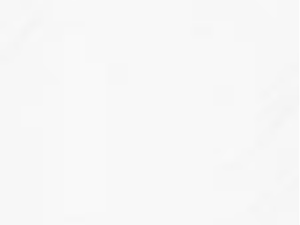 Blank white image (plain white background).