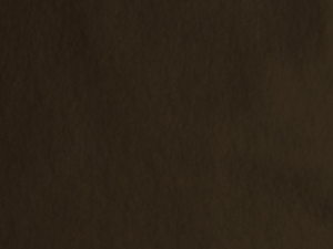 Solid dark brown background with a subtle textured surface.