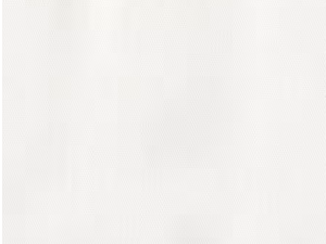 Plain white textured background with a subtle diagonal pattern.