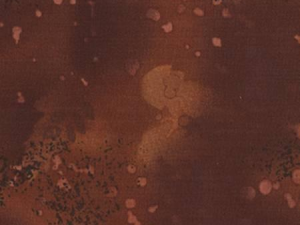 Abstract brown textured surface with lighter circular blotches and scattered spots.