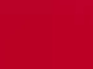 Red Flannel Solid
